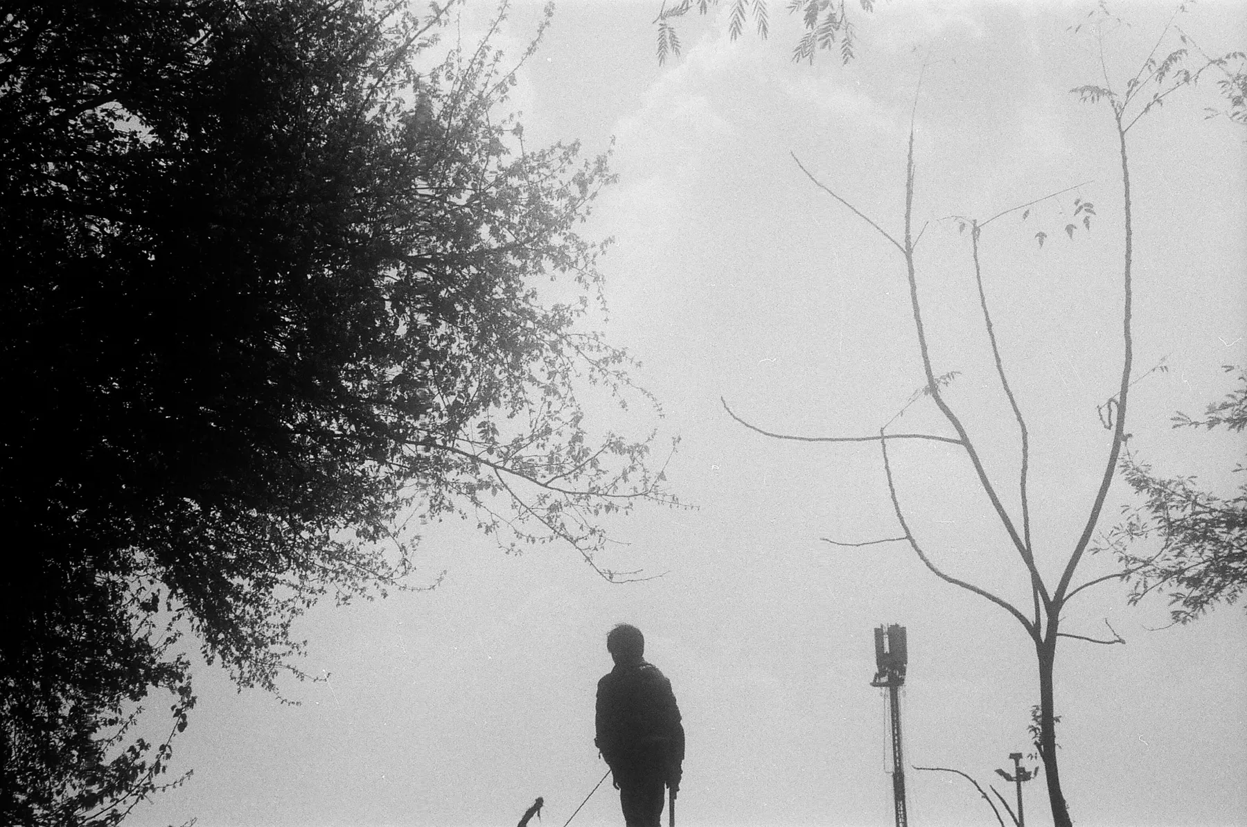 Life on film, Personal. Personal photography by Harris George Stephen, frame 3