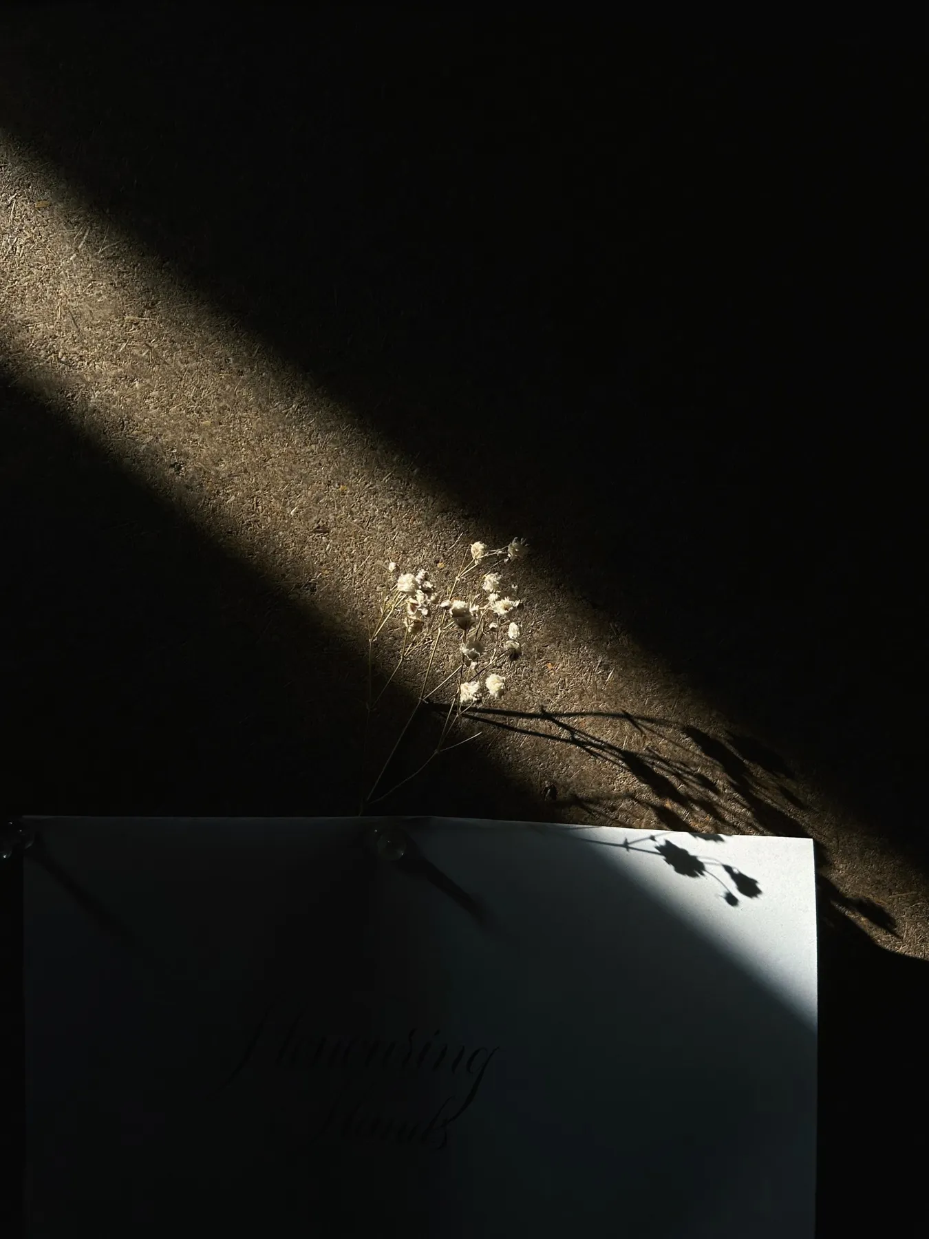 TDV from my eyes. Personal photography by Harris George Stephen, frame 16