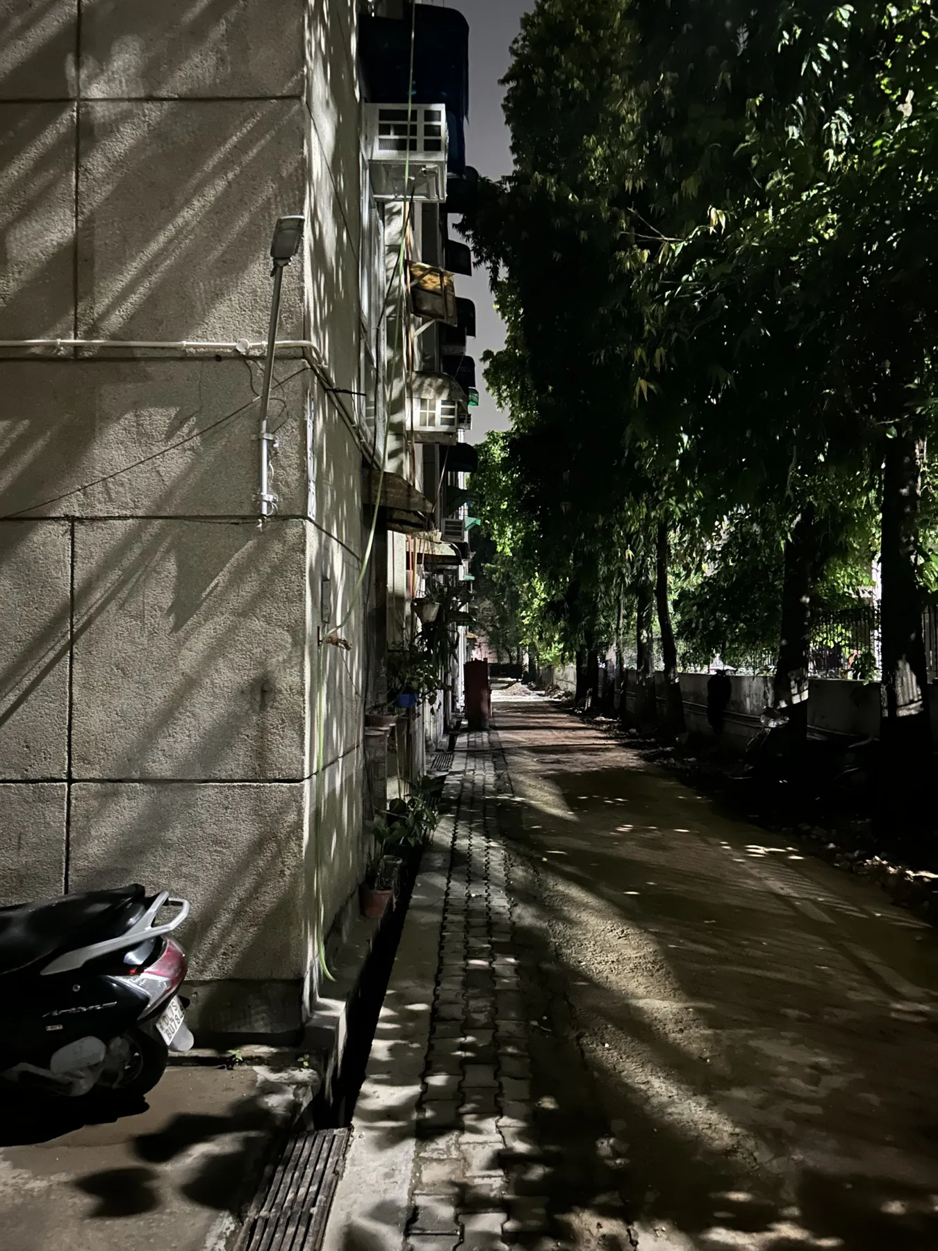 Documented life. Personal photography by Harris George Stephen, frame 12