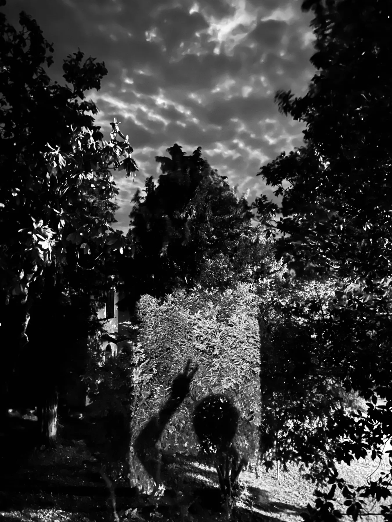 Documented life. Personal photography by Harris George Stephen, frame 20